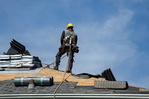 Professional Flat Roof Repair technician working in Elmwood, IL